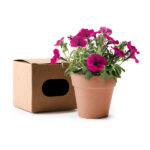 VOLEN 1000